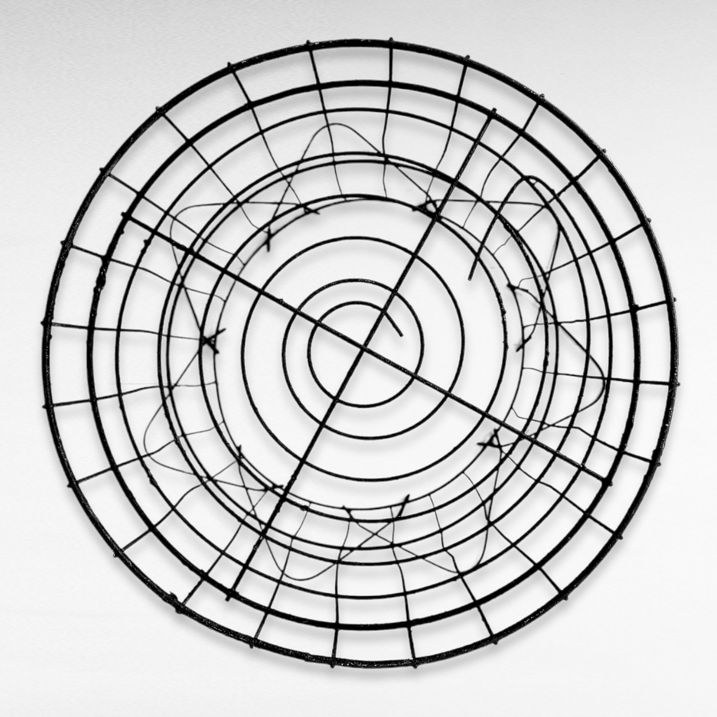 Industrial Wire Trash Container
