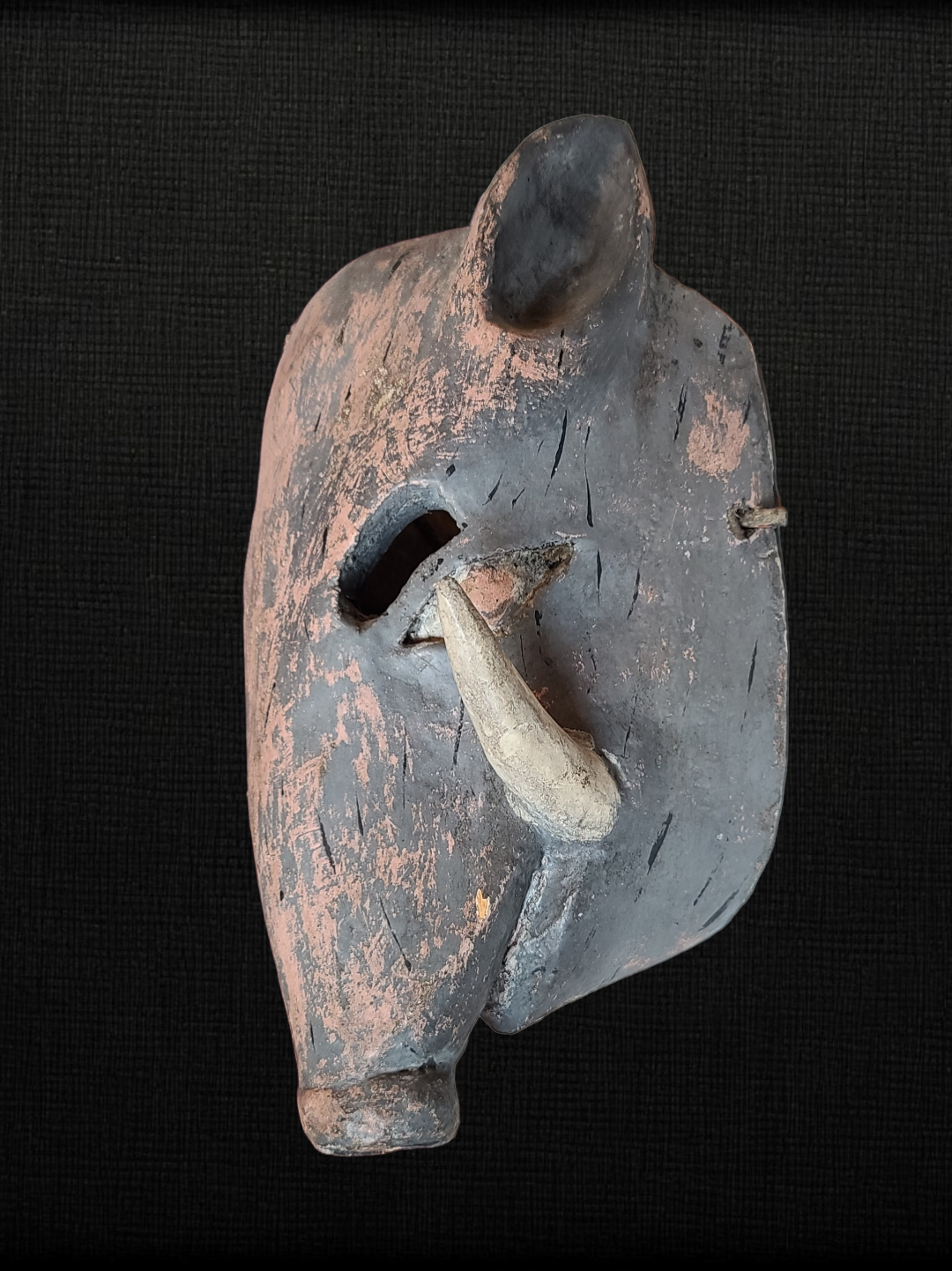 Mexican Or Guatemalan Wild Boar Mask