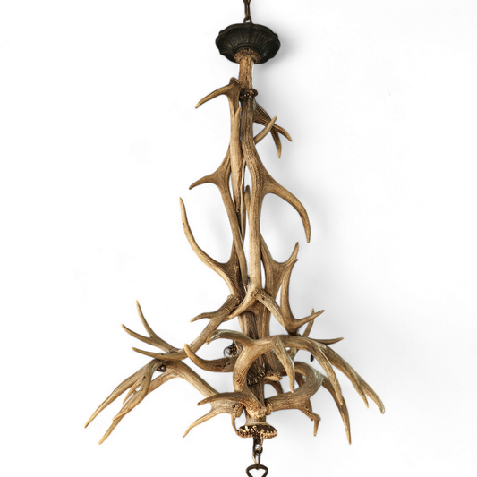 Antique Antler Chandelier Light Fixture